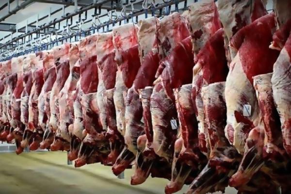 جدیدترین قیمت گوشت گوسفندی و گوساله در بازار ، فیله گوساله کیلویی 421 هزار تومان